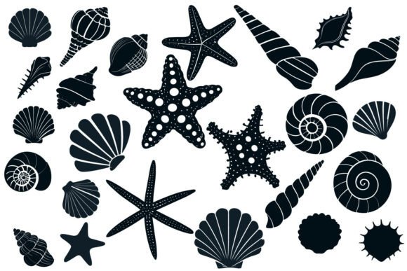 Download Sea Shell Starfish Beach SVG Silhouette - Star Collection