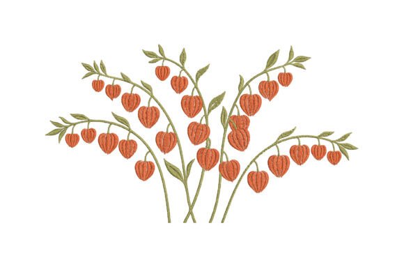 Download Chinese Lantern Plant Embroidery Design - Embroidery design Collection
